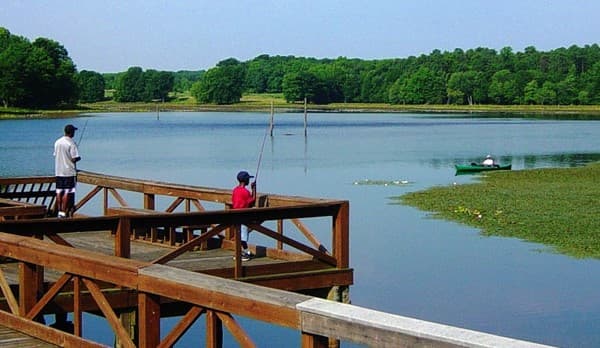 Father and son fishing from a wooden pier.