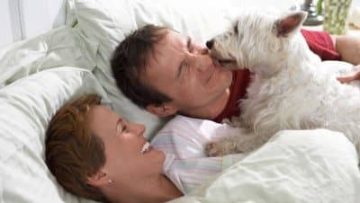 Small dog waking it's owners up in bed, by licking their faces.