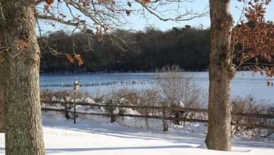 ny-li-national-wildlife-refuge